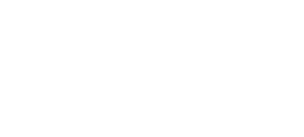 Enzein Store
